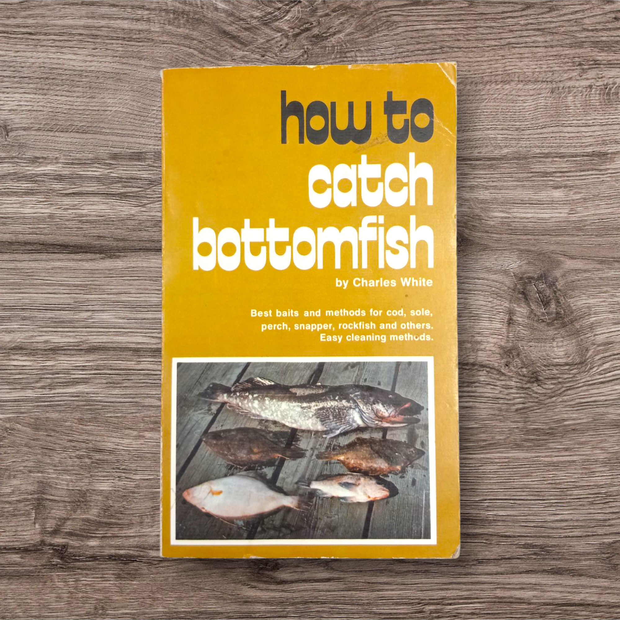 How to Catch Bottomfish
