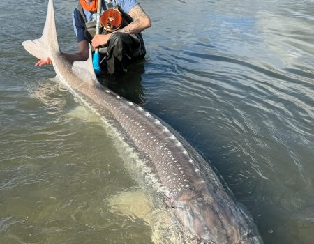Noah’s Fraser River Excursion
